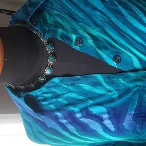 Sheer Silk Blend Button Down Blouse